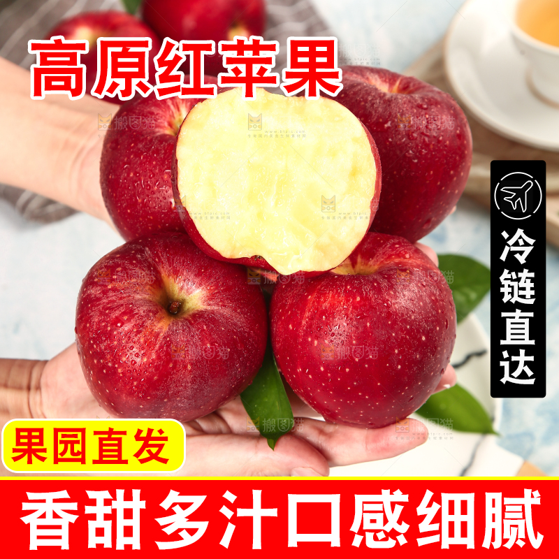 浅底上的秦冠苹果