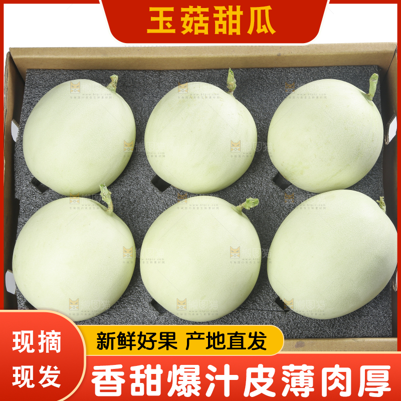 白底上的玉菇甜瓜
