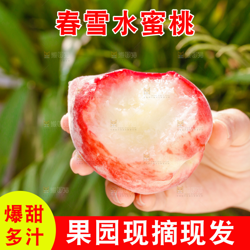 手里拿着春雪水蜜桃