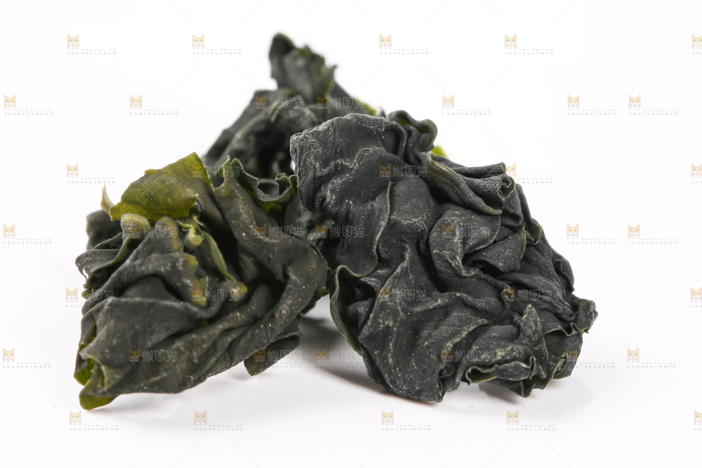 白底上的裙带菜