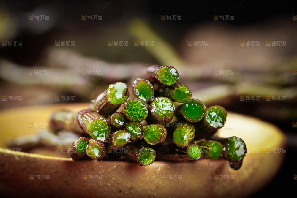 深底上的石斛鲜条