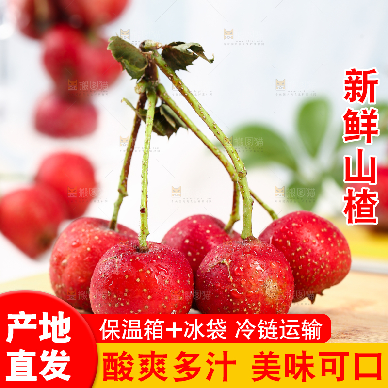 浅底上的新鲜山楂
