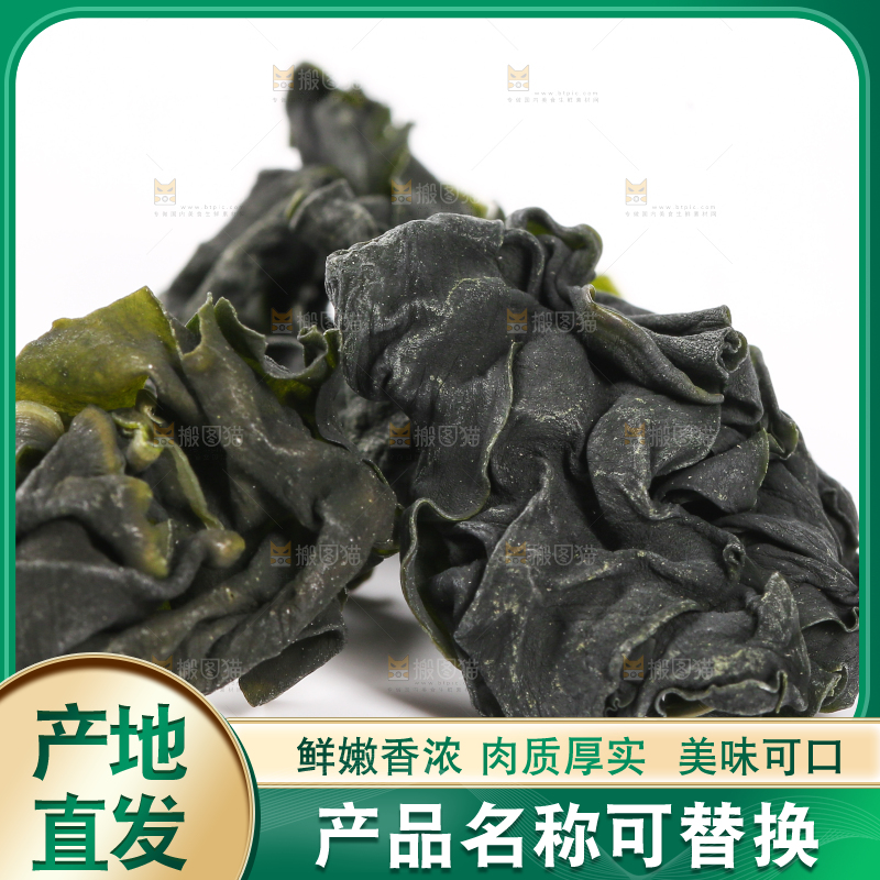 白底上的裙带菜