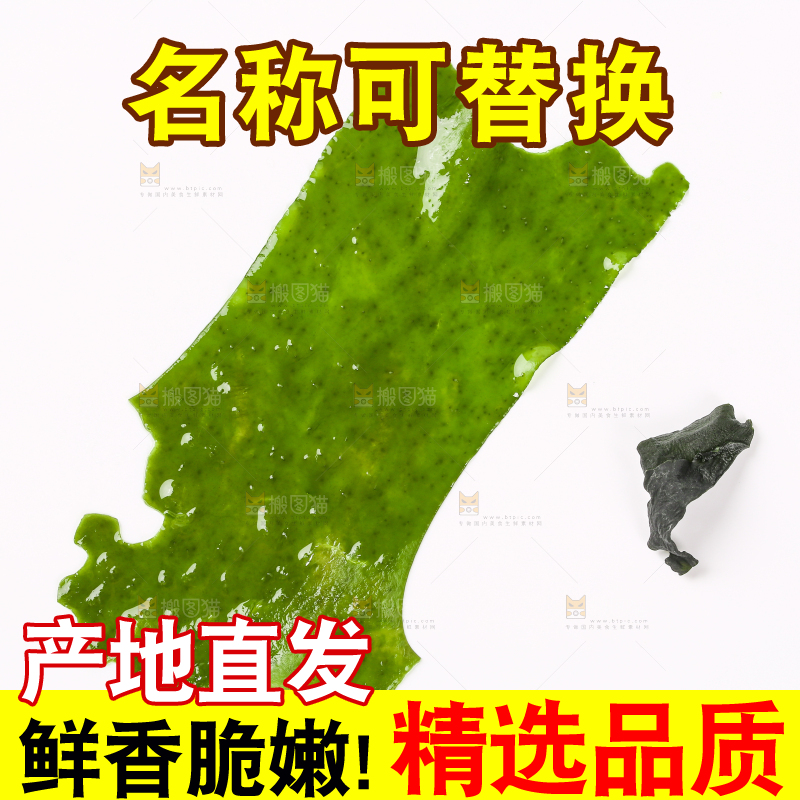 白底上的裙带菜