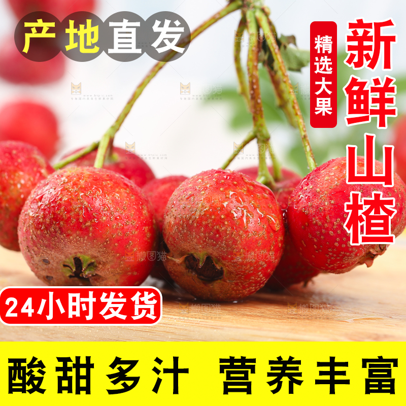 浅底上的新鲜山楂