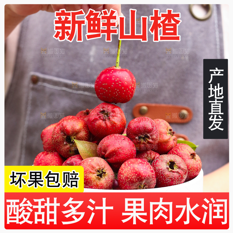 手里拿着新鲜山楂