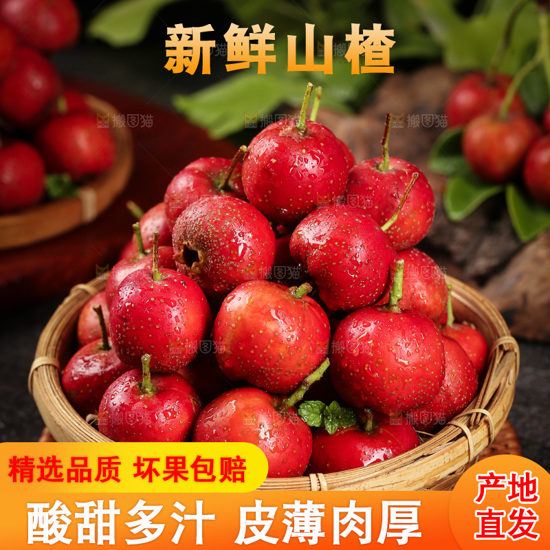 深底上的新鲜山楂
