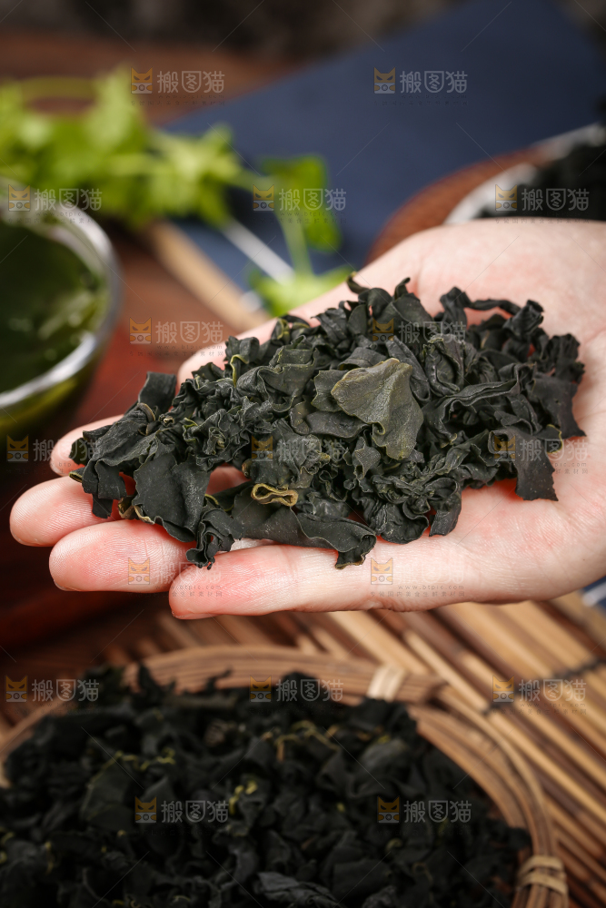 深底上的裙带菜