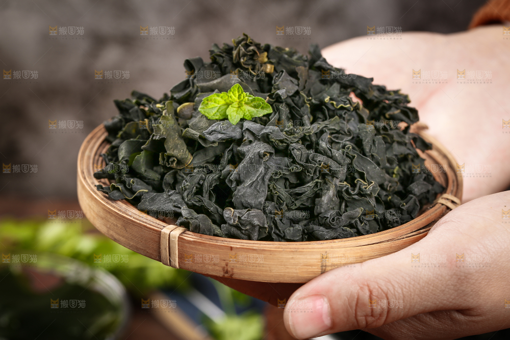 深底上的裙带菜