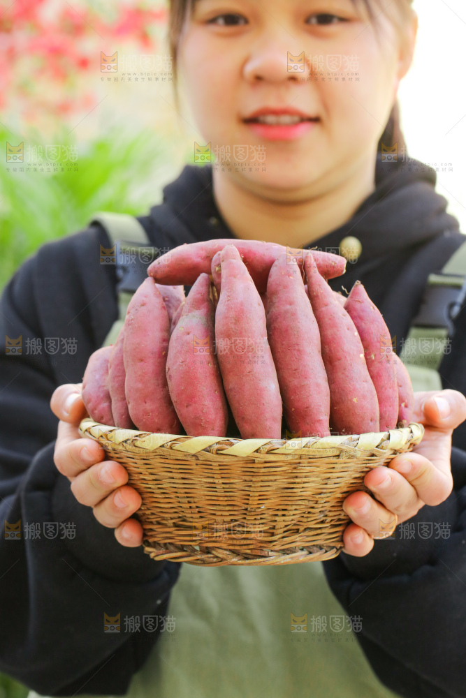 手里拿着小香薯
