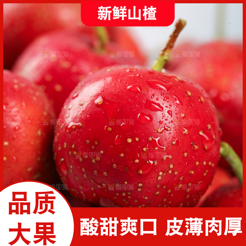 浅底上的新鲜山楂