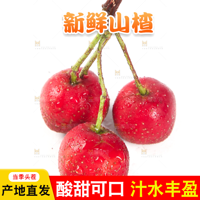 白底上的新鲜山楂