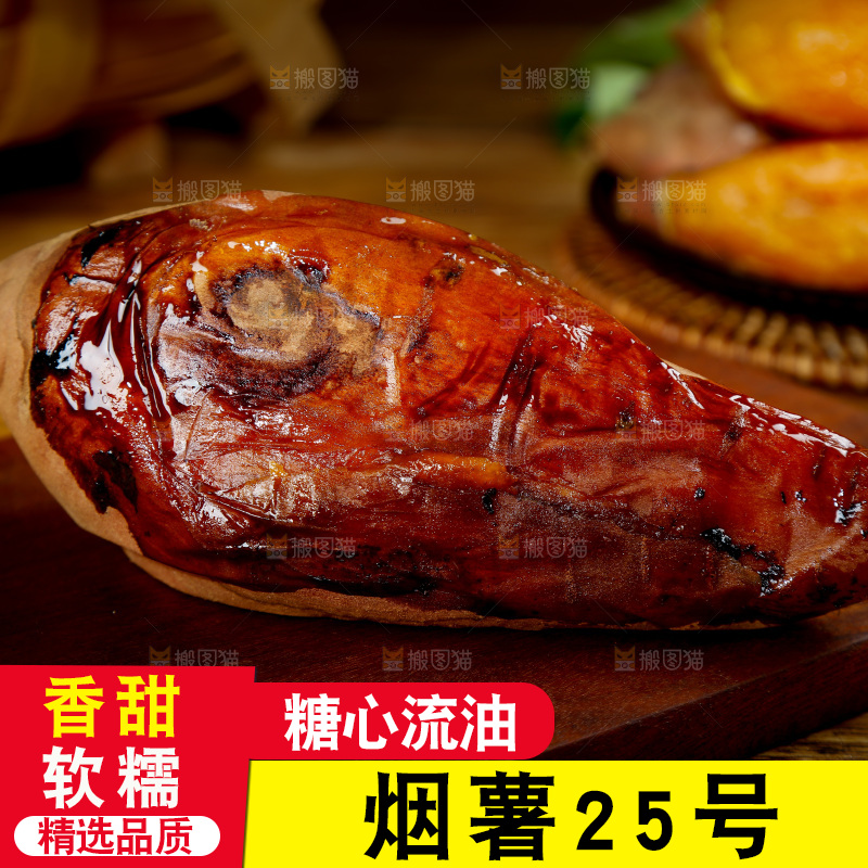 深底上的烟薯25号