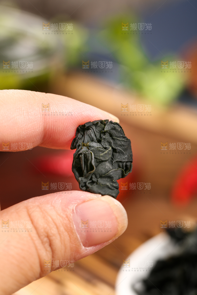 深底上的裙带菜