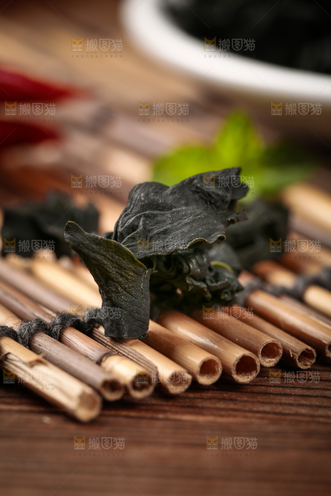 深底上的裙带菜