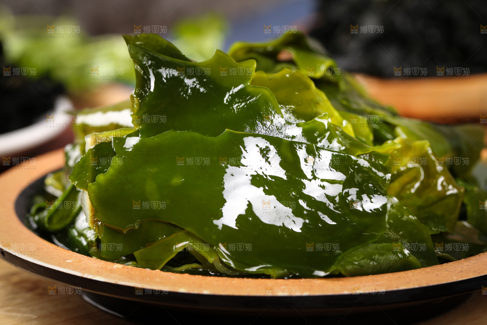 深底上的裙带菜