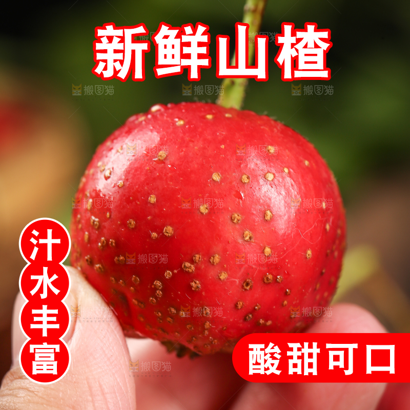 深底上的新鲜山楂