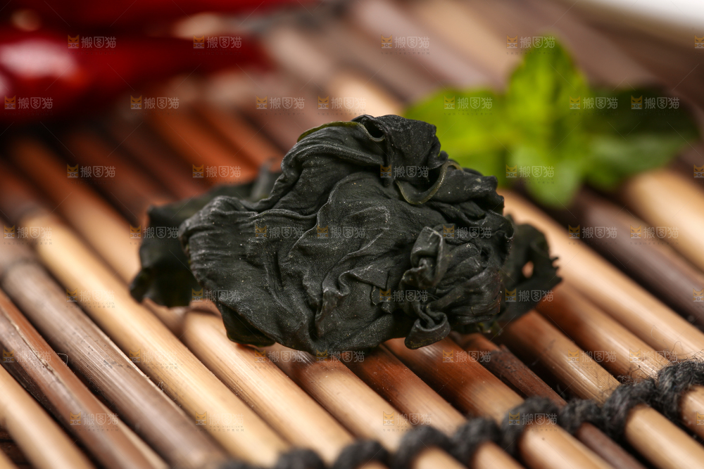 深底上的裙带菜