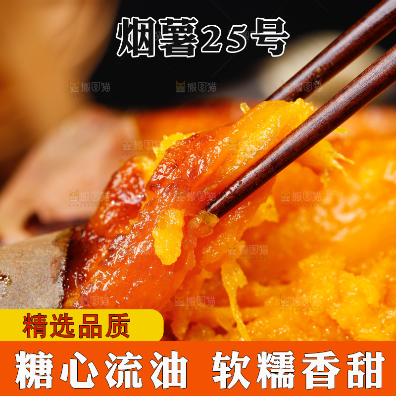 深底上的烟薯25号