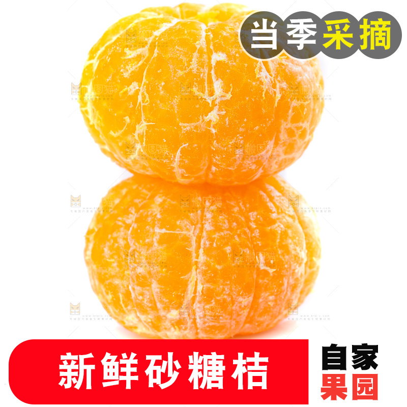 白底上的沙糖桔