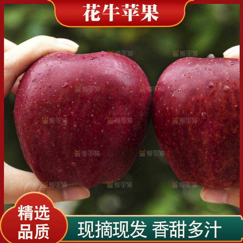 手里拿着花牛苹果