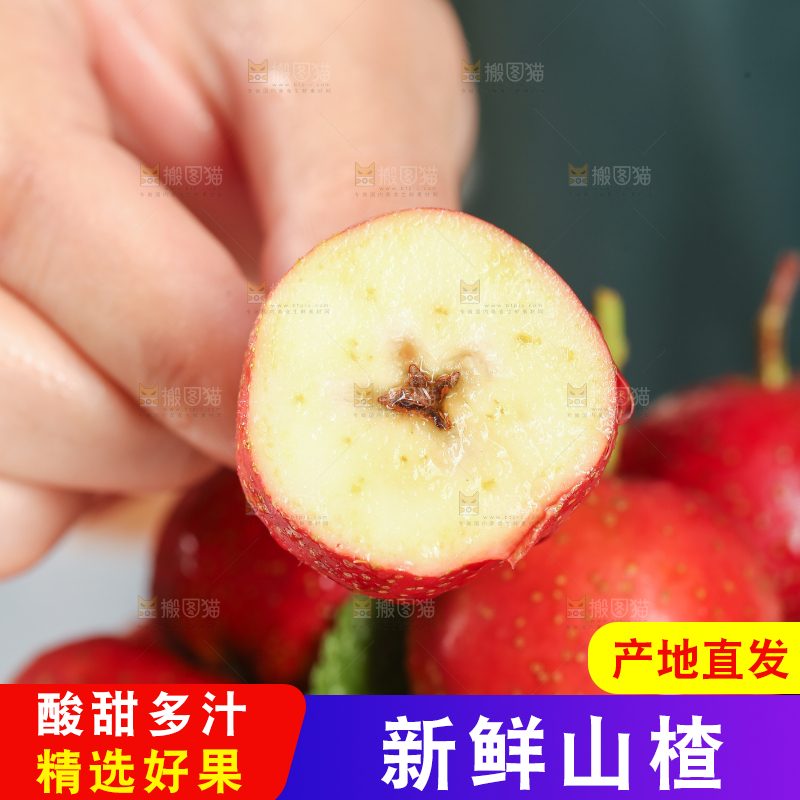 浅底上的新鲜山楂