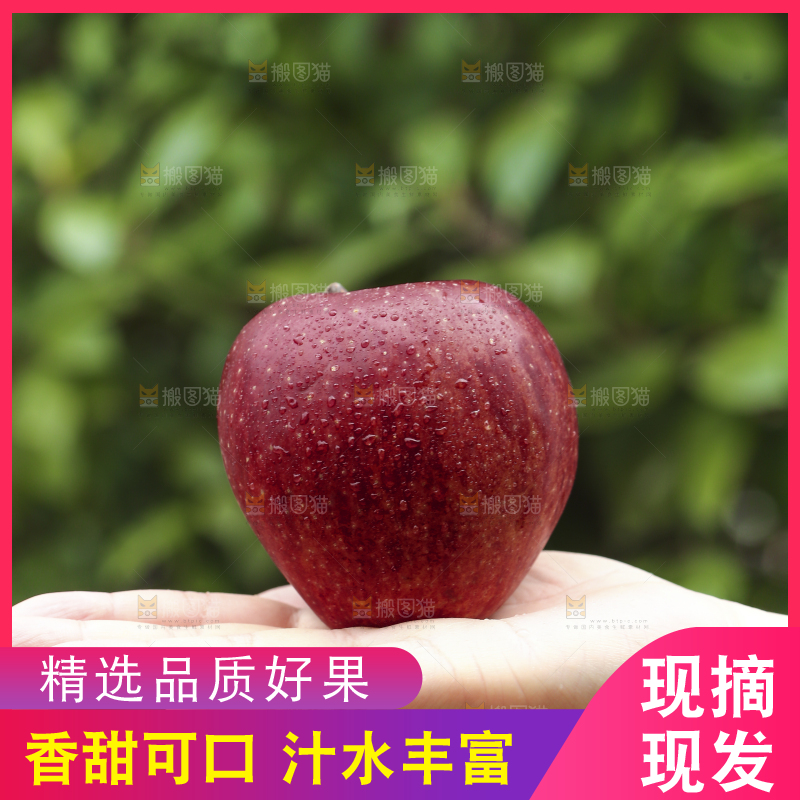 手里拿着花牛苹果