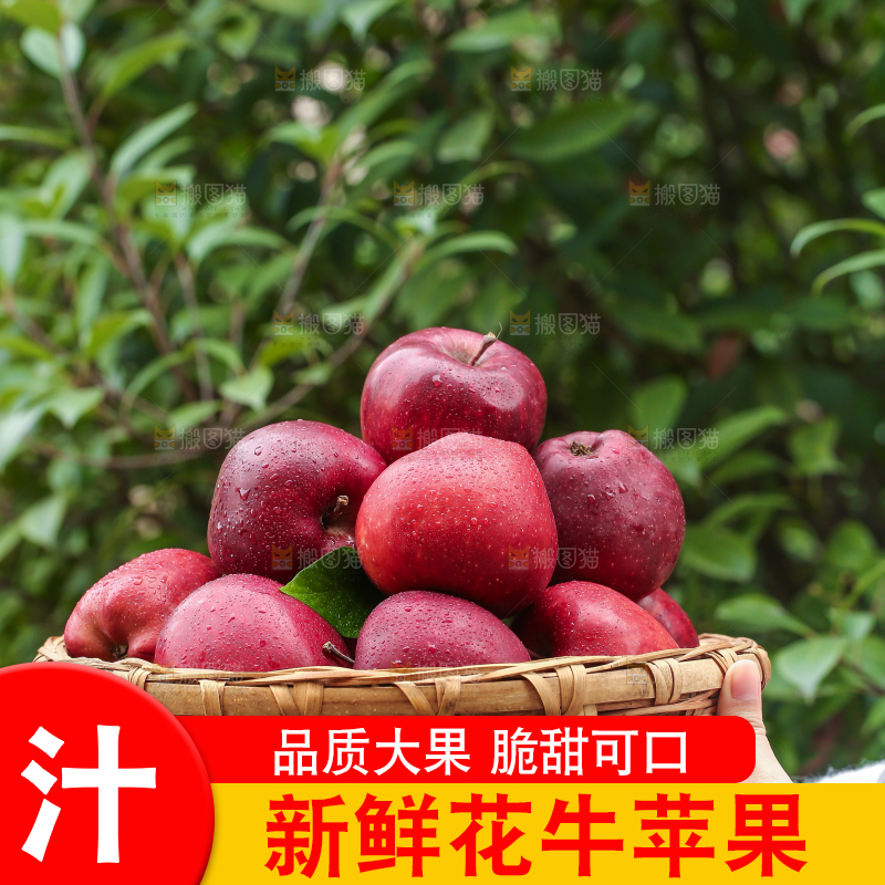 手里拿着花牛苹果