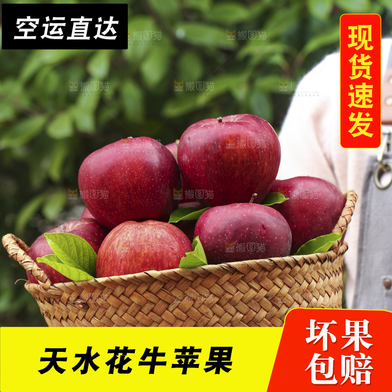 手里拿着花牛苹果
