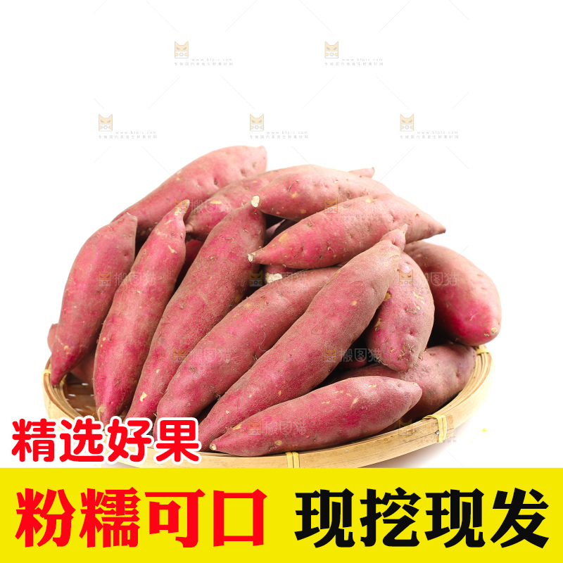 白底上的临安小香薯