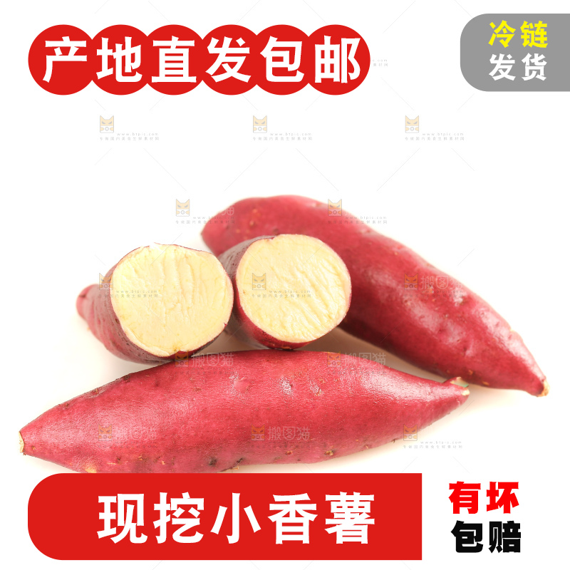 白底上的临安小香薯