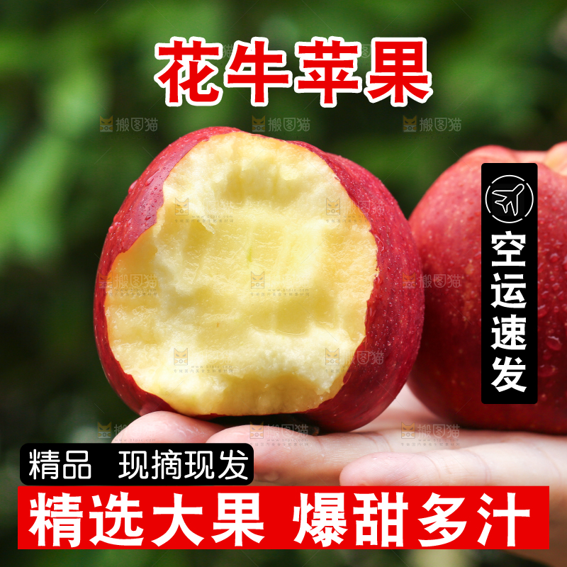 花牛苹果主图