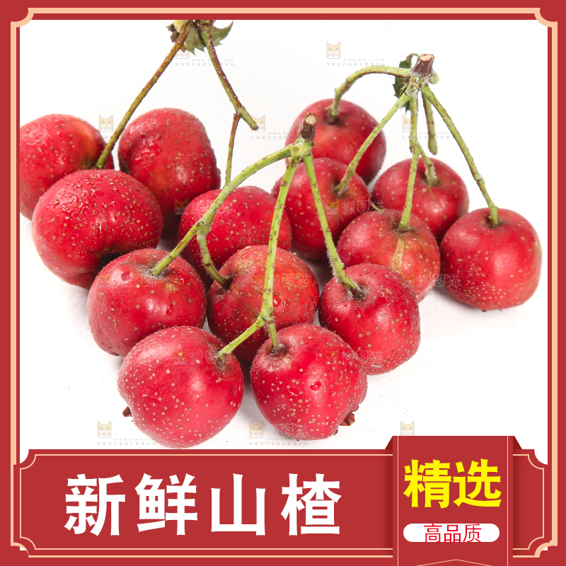 白底上的新鲜山楂