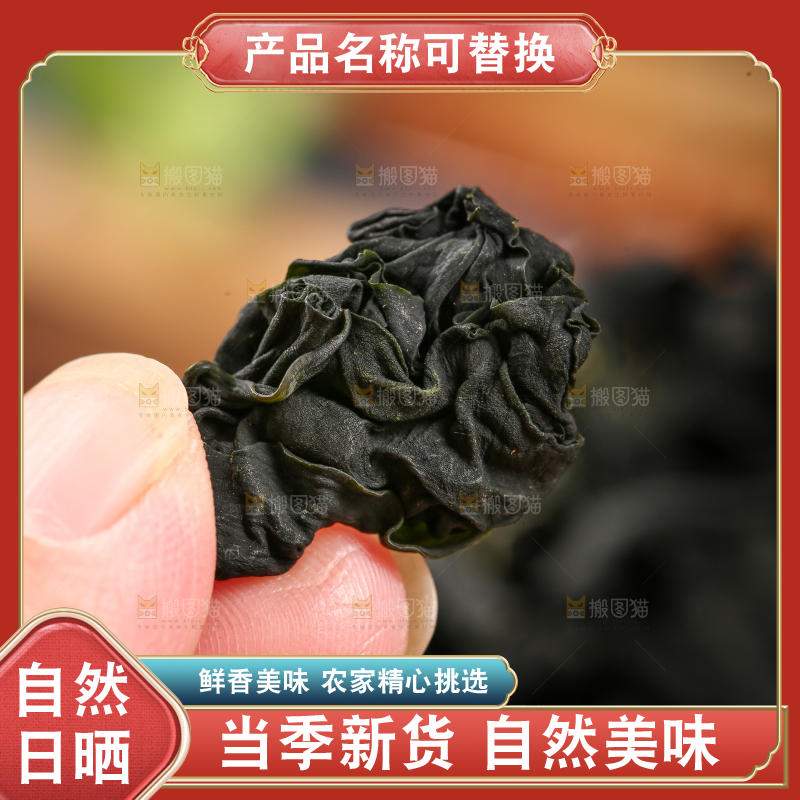 深底上的裙带菜