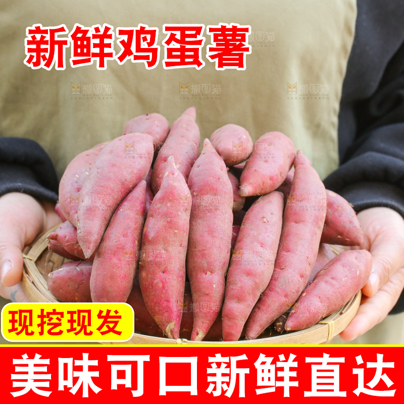 手里拿着小香薯