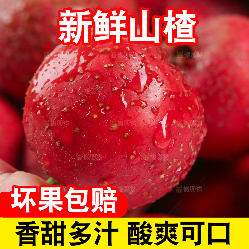 白底上的新鲜山楂