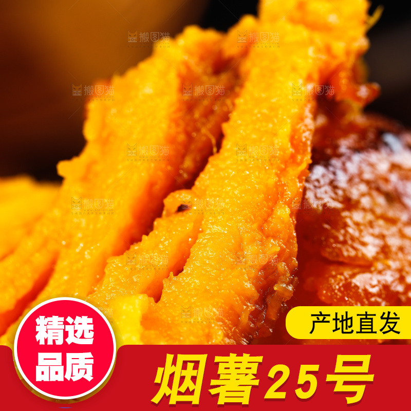 深底上的烟薯25号