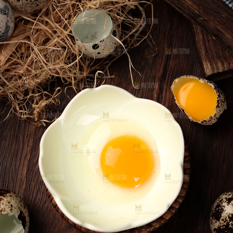 深底上的新鲜鹌鹑蛋