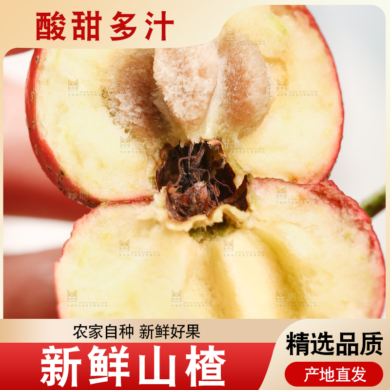 浅底上的新鲜山楂