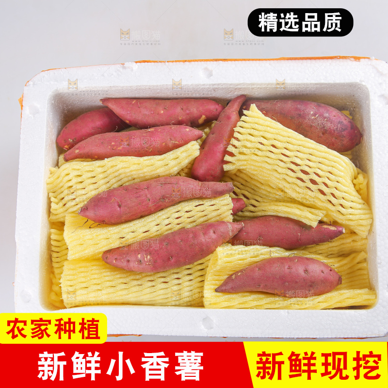 白底上的临安小香薯