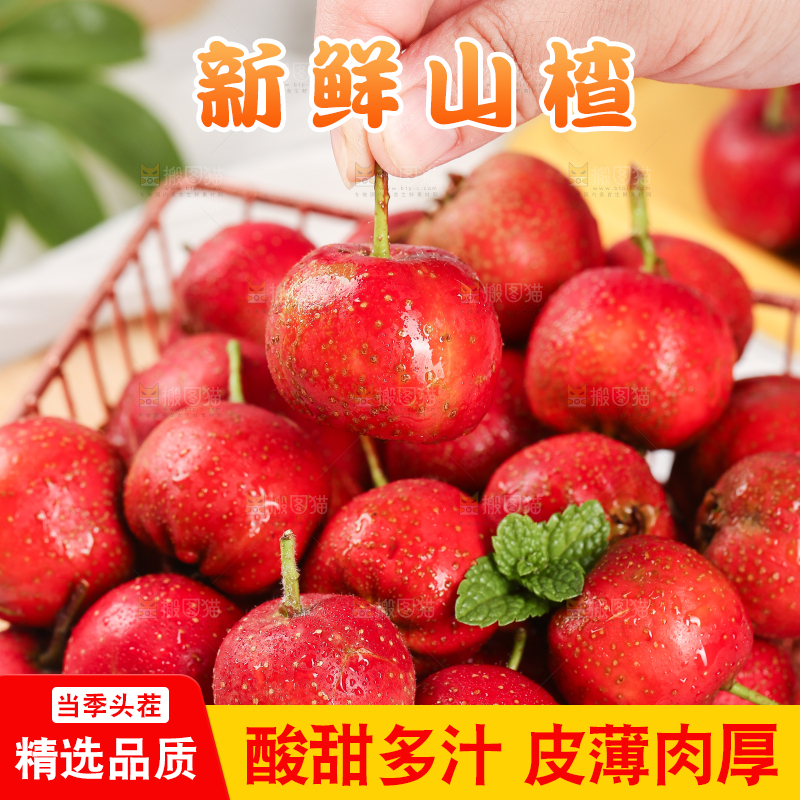 浅底上的新鲜山楂
