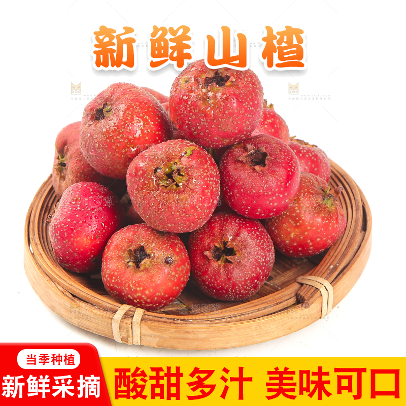 白底上的新鲜山楂