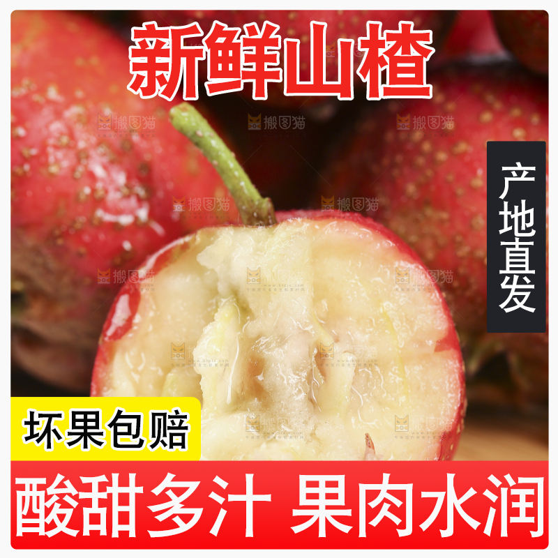 浅底上的新鲜山楂