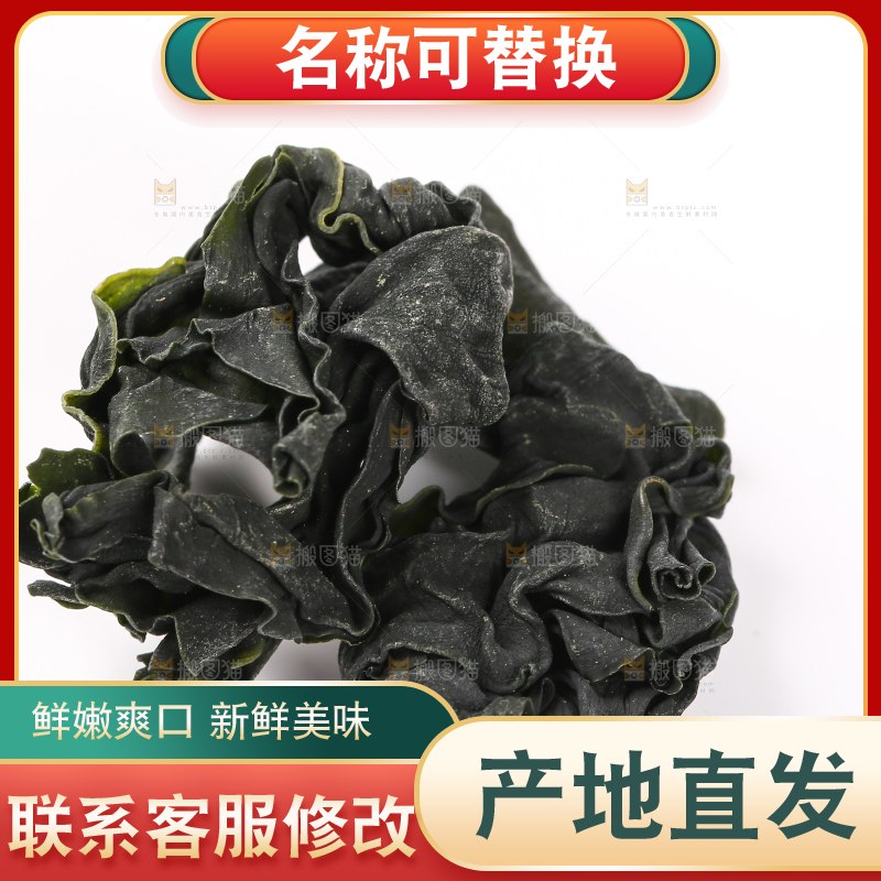 白底上的裙带菜