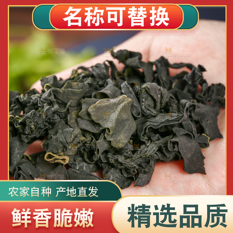深底上的裙带菜