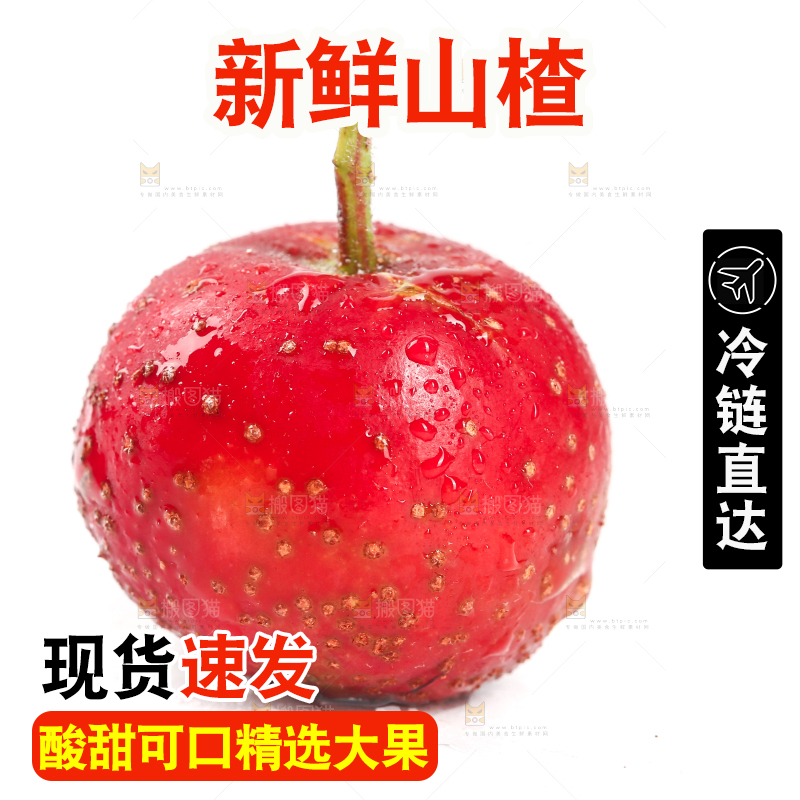 白底上的新鲜山楂