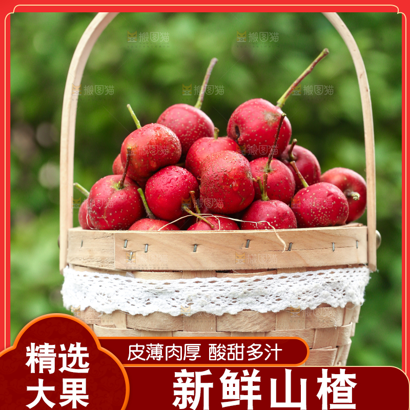 手里拿着新鲜山楂