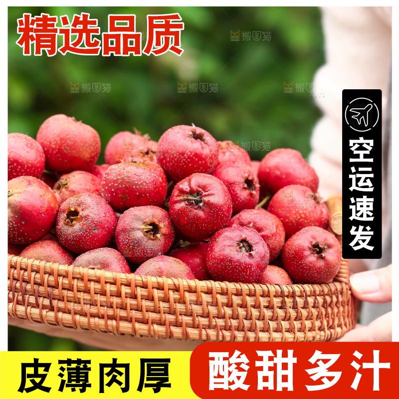 手里拿着新鲜山楂