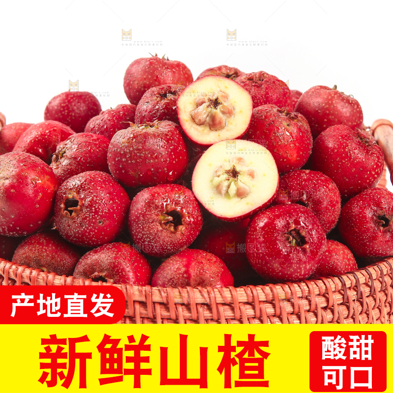 白底上的新鲜山楂