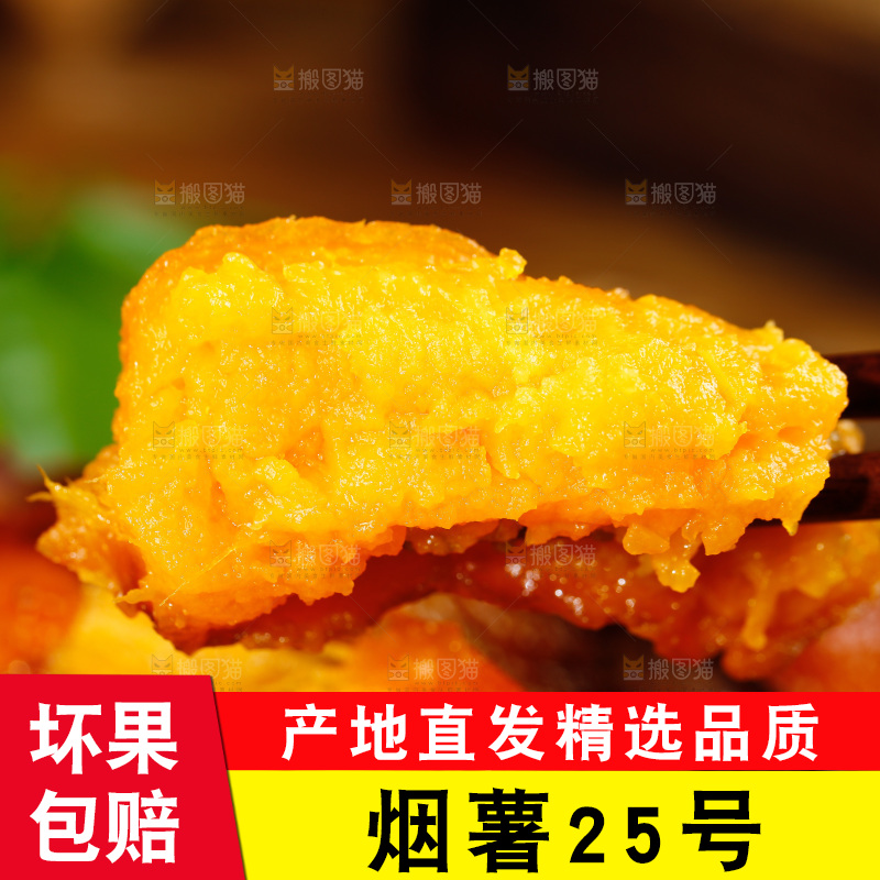 深底上的烟薯25号